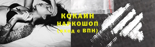 шишки Белоозёрский