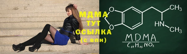 шишки Белоозёрский
