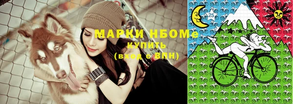 шишки Белоозёрский
