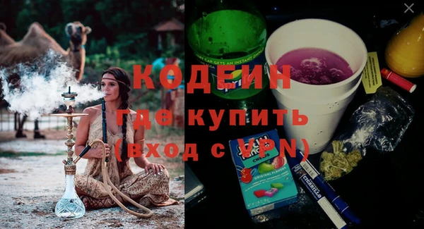 шишки Белоозёрский