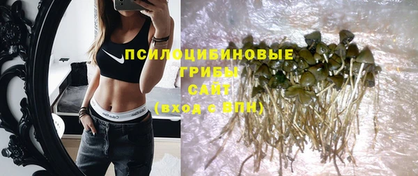 кокс Белокуриха