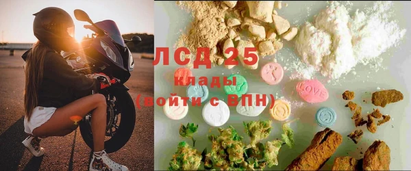 шишки Белоозёрский