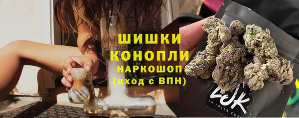 шишки Белоозёрский