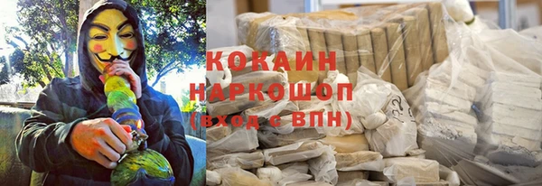 шишки Белоозёрский