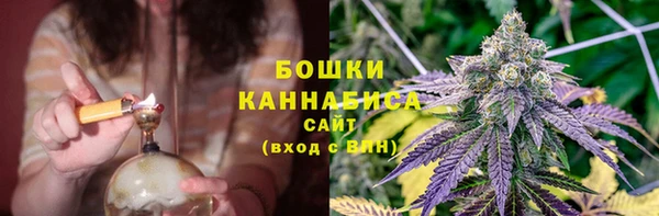 шишки Белоозёрский
