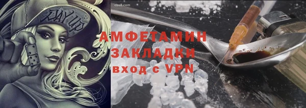 шишки Белоозёрский